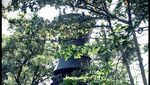 Tugu Sidandang di Semarang Makin Tak Terurus