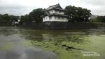Tur Imperial Palace, Mengunjungi Istana Kaisar Jepang