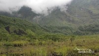 Di lembah tampak hamparan ilalang dan pepohonan hijau