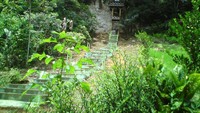 Tangga menuju gua tengkorak (sumber: skyscrapercity.com)