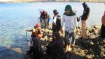 Uji Nyali, Liburan Bareng Ular di Pulau Ular