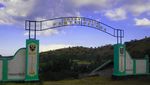 Uji Nyali, Liburan Bareng Ular di Pulau Ular