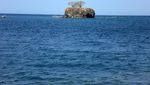 Uji Nyali, Liburan Bareng Ular di Pulau Ular