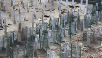 Proses Penetasan Telur Penyu
