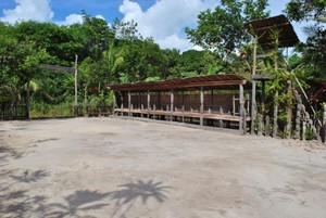 Ukiran Dayak yang Keren Ada di Desa Ini