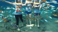 Foto Under Water ( Sumber Gambar , https://www.instagram.com/umbul_ponggok )