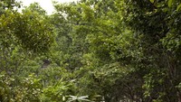 Tangga menuju Pantai Pintu Kota (Nico Wijaya/ACI)