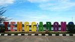 Unik! Ada Pulau di Tengah Sungai Tak Jauh dari Ibu Kota Baru