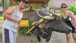 Unik! Ada Restoran di Air Terjun Labasin, Filipina