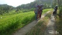 Jalan menuju Pantai Bakung sudah dirabat beton dengan baik.
