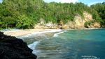 Unik! Batu Berbentuk Ikan Paus di Pantai Bakung, Pacitan