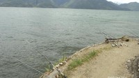Menunggu disentuh oleh ikan