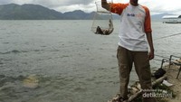 Hasil pancingan