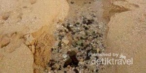 Unik, Pantai Jungwok Punya Mata Air Langsung ke Laut