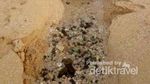 Unik, Pantai Jungwok Punya Mata Air Langsung ke Laut