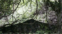 Pemakaman di Desa Terunyan (Sumber: wisatabali-mongkey.blogspot.com)