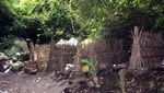 Unik! Tradisi Pemakaman di Desa Terunyan, Bali