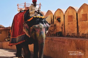 Uniknya Kota Pink Jaipur di India