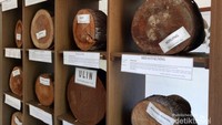 Koleksi aneka kayu