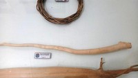 Kayu pasak bumi