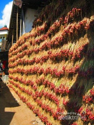 Uniknya Tembok Bawang di Lombok