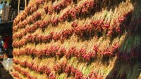 Di Masbagik, Lombok Timur, NTB, wisatawan bisa menjumpai pemandangan unik. Di sana, wisatawan bisa melihat tembok yang dibuat dari bawang. Ini sebenarnya adalah bawang-bawang yang sedang dijemur sampai membentuk tembok.