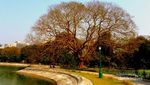 Victoria Memorial, Ketika Inggris Pindah ke Kolkata