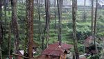 Villa Asyik Untuk Berakhir Pekan di Lembang, Bandung