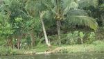 Waduk Penjalin, Waduk Kece dari Bumiayu