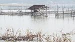 Waduk Rowo Jombor Klaten Mulai Kembali Ramai