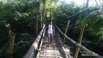 Wae Rebo, Desa di Balik Gunung yang Mendunia