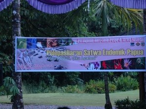 Wah, 6 Hewan Langka Lepas di Timika