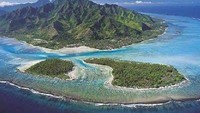 Dream Island (iha.com)