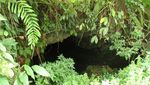Wah, Ada Gua Kelelawar di Sumatera Utara