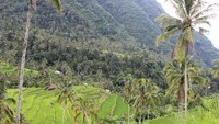Pemandangan menuju air terjunnya