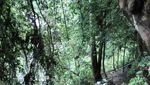 Wah, Bali Punya Air Terjun Secantik Ini