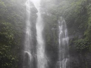 Wah, Bali Punya Air Terjun Secantik Ini
