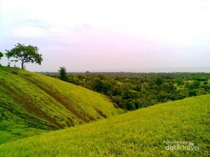Wah! Bukit Teletubbies Ternyata Juga Ada di Bali