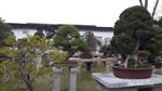 Wah! Di China Ada Taman Warisan dari 4 Dinasti