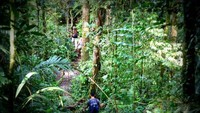 Trekking di Bukit Fraser (tripadvisor.ca)