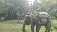 KEGIATAN TUNGGANG GAJAH CUKUP DIMINATI OLEH ANAK-ANAK. UNTUK DAPAT MENIKMATINYA, KAMU HARUS MEMBELI TIKET SEHARGA RP. 35.000