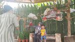 Wah, Kebun Binatang Ini Punya Wahana Speed Boat
