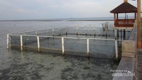 Penangkaran Penyu di Bibir Pantai