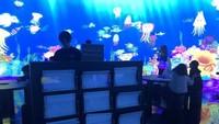 Sketch Aquarium