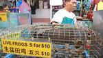 Wajah Asli Singapura di Pasar Chinatown Complex