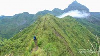 Sepanjang trek pendakian pun menyajikan pemandangan yang aduhai