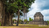 Pohon beringin sangat besar disebelah kiri dan emak emak lagi asyik ngerumpi menikmati waktu libur.