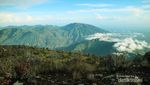 Wajah Lain Gunung Sindoro yang Perlu Kamu Tahu