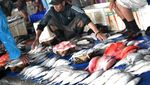 Wajah Pelelangan Ikan Paotere di Makassar