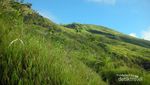 Wajib Coba! Mendaki Gunung Sumbing Via Mangli